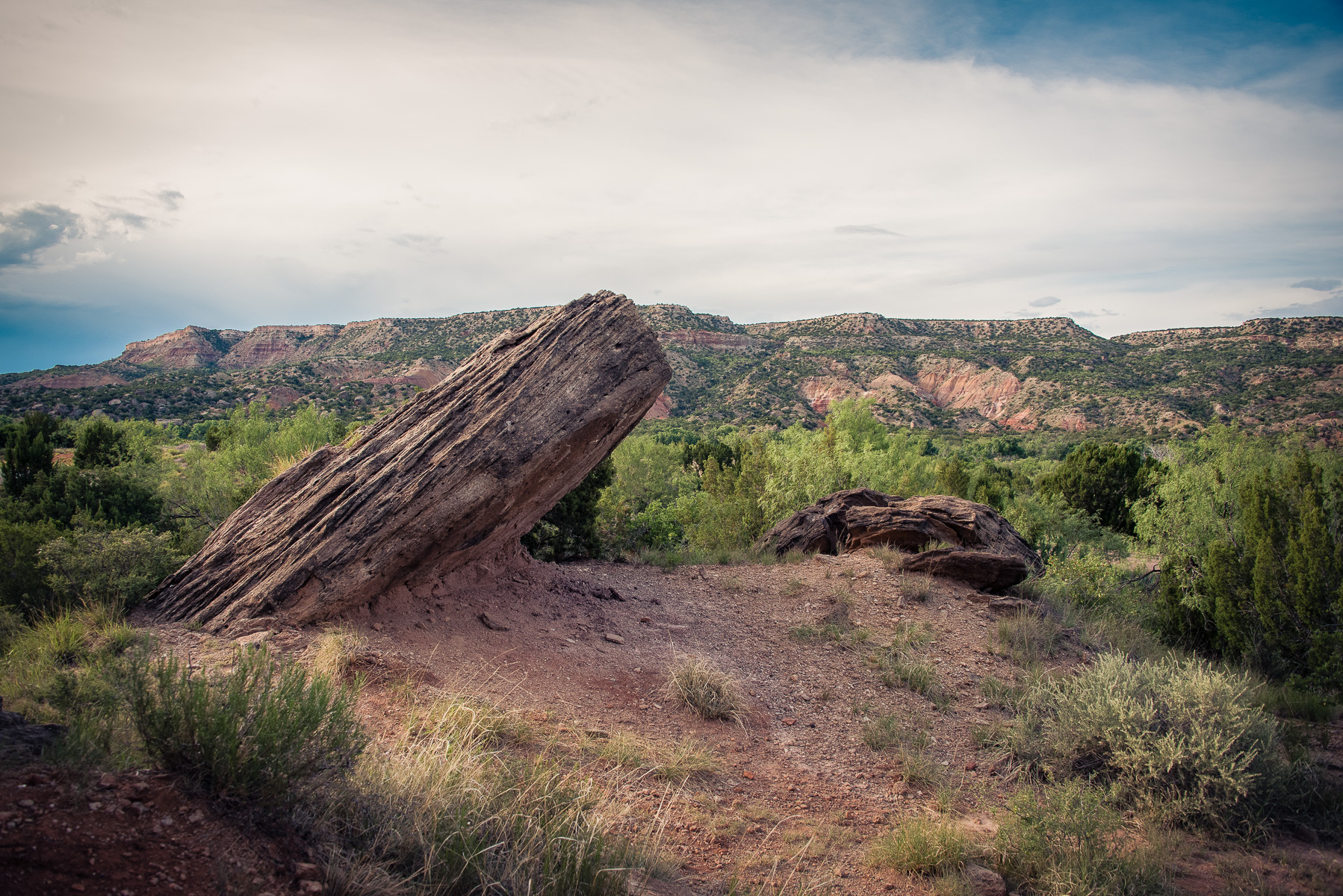 Ready for Lift Off | Palo Duro