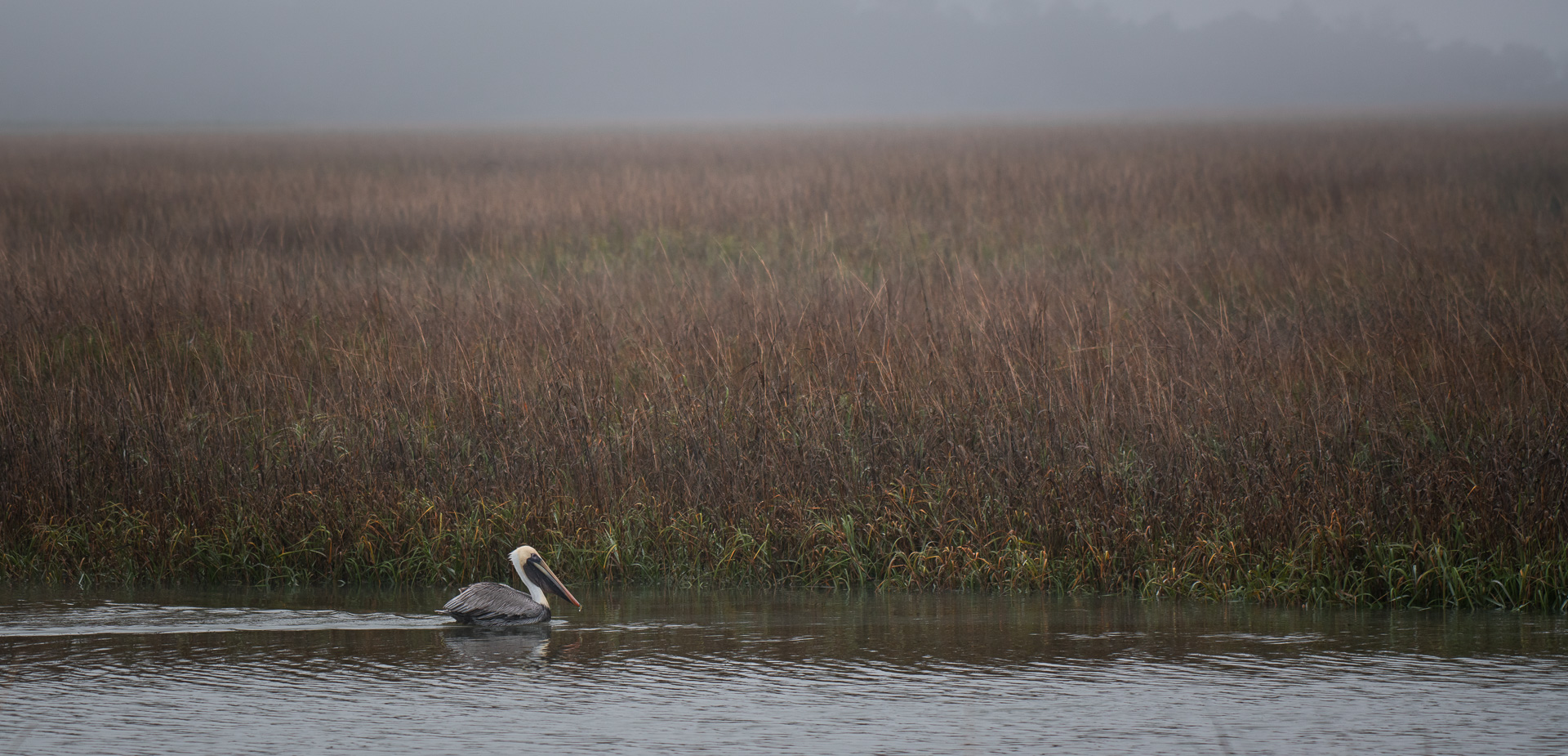 Passing Time in the Fog | Amelia Island